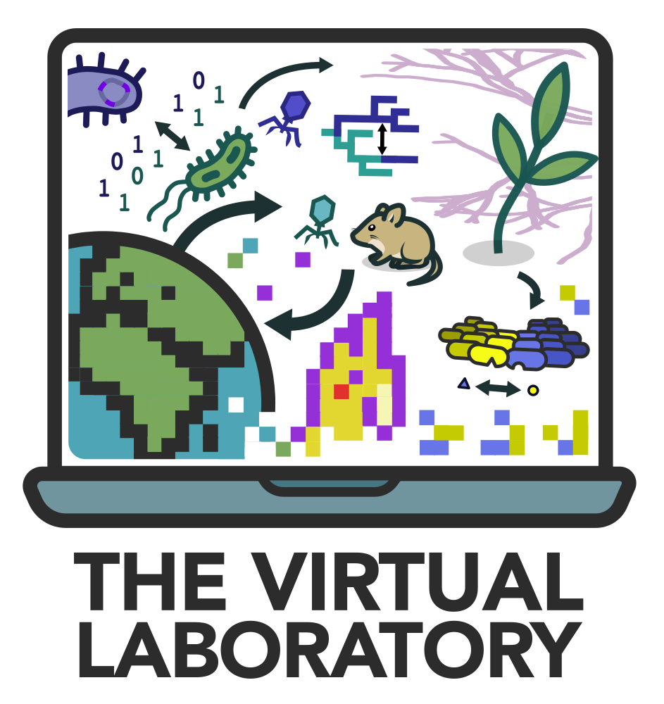Virtual laboratory logo